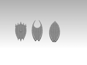 Shields of the far south